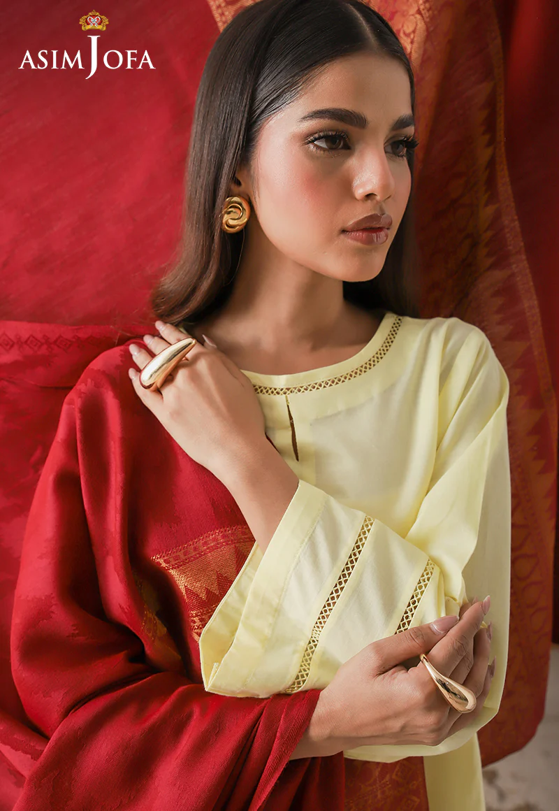 AJHS-12 ZARI BORDER JACQUARD SHAWL 1 PC - Image 5